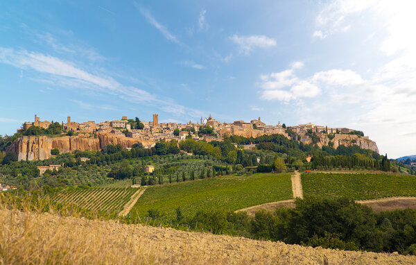 Holiday Home - Orvieto , Italy - IUO024 901