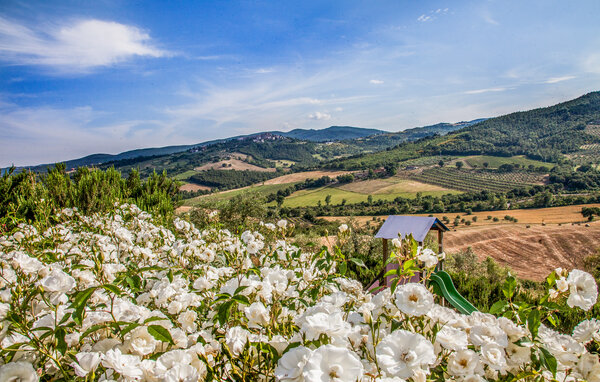 Semesterhus - Allerona , Italien - IUO028 9