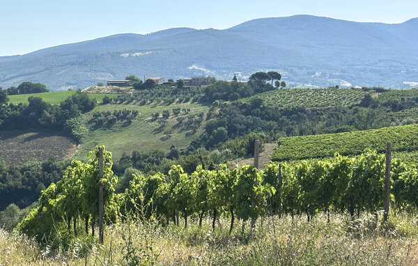 Domy wakacyjne - Montecchio , Wlochy - IUO033 9