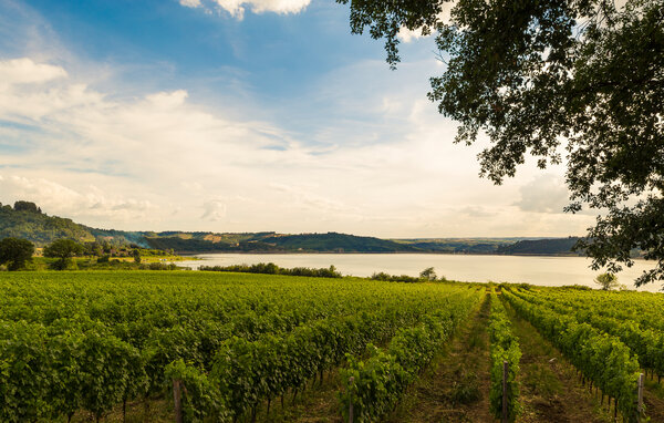 Semesterhus - Lago Trasimeno , Italien - IUP003 905
