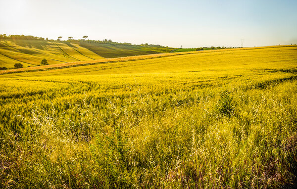 Appartamento - San Venanzo , Italia - IUP025 9