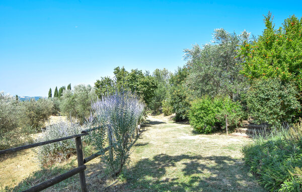 Appartamento - San Venanzo , Italia - IUP026 802
