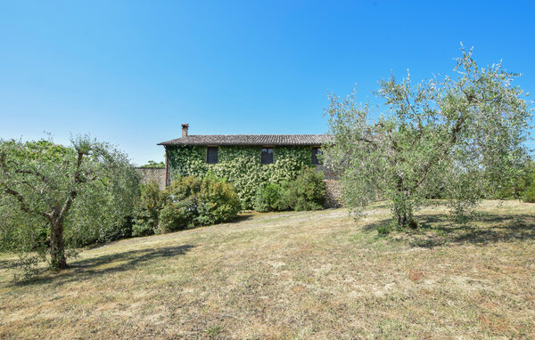 Appartamento - San Venanzo , Italia - IUP026 81