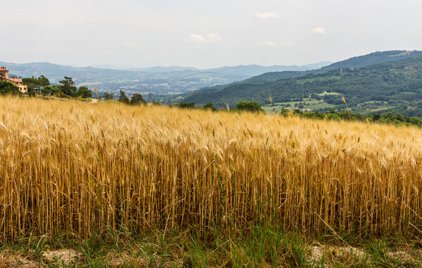 Casa vacanze - Nocera Umbra , Italia - IUP032 901