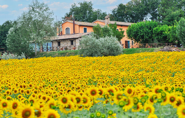 Domy wakacyjne - Gualdo Cattaneo (PG) , Wlochy - IUP038 6