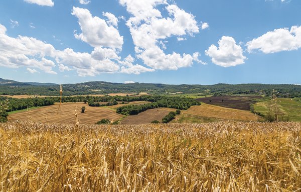 Domy wakacyjne - Acquasparta , Wlochy - IUP622 902