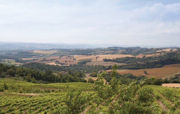 Casa di vacanze Castello di Petroro