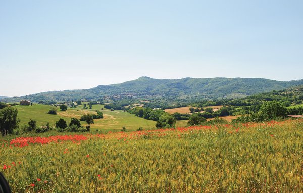 Appartamento Greppo A