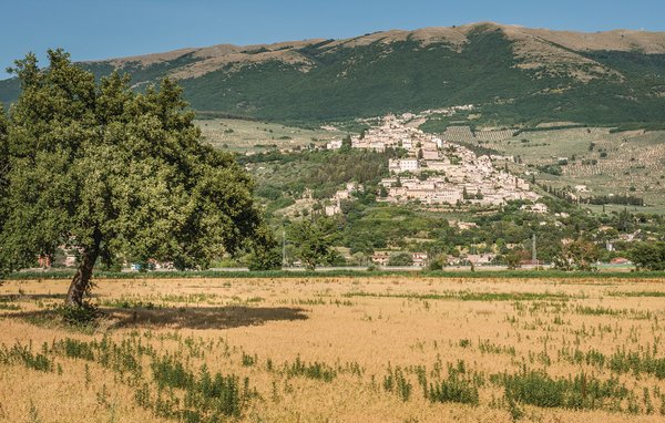 度假住宅 La Vigna Rossa