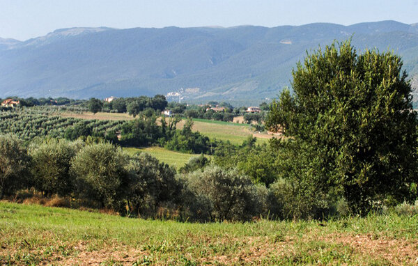 Domy wakacyjne - Acquasparta , Wlochy - IUS012 901