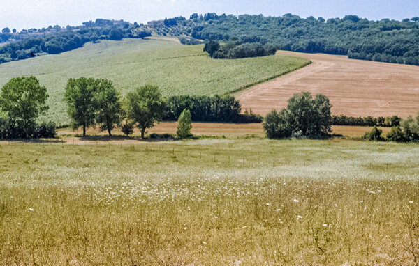 Domy wakacyjne - Acquasparta , Wlochy - IUS012 7