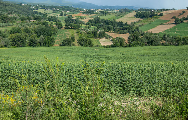 Dom Narni cottage