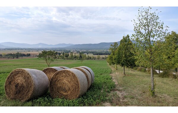 Location de vacances - Magione , Italie - IUT002 804