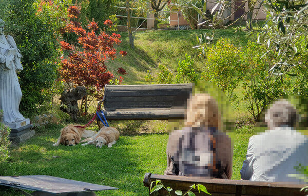 Semesterlägenhet - San Feliciano , Italien - IUT011 7