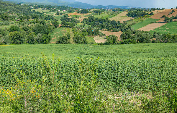 Casa de vacaciones - Magione , Italia - IUT025 8