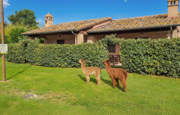 Casa de vacaciones - Castiglione del Lago , Italia - IUT035 108