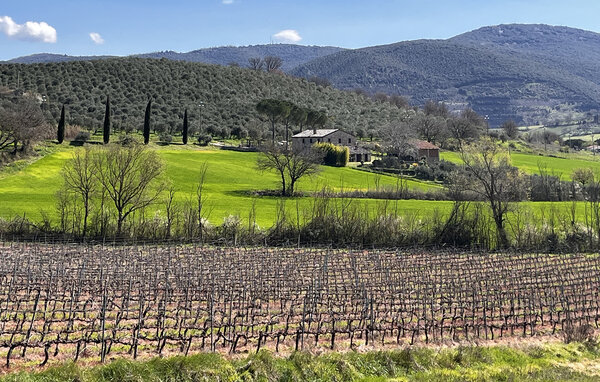 Vakantiehuis - Magione , Italië - IUT043 201