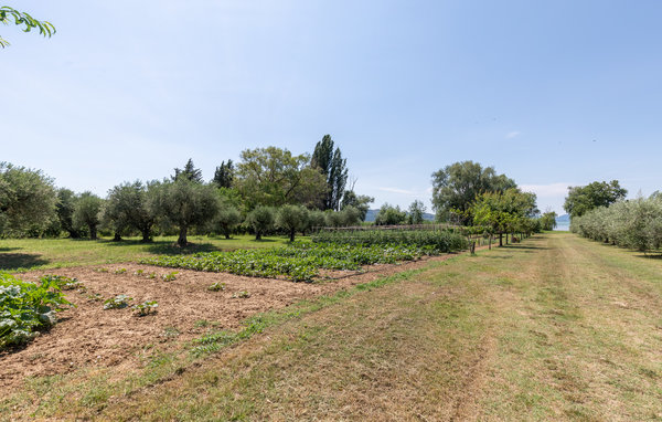 Domy wakacyjne - Passignano sul Trasimeno , Wlochy - IUT266 809