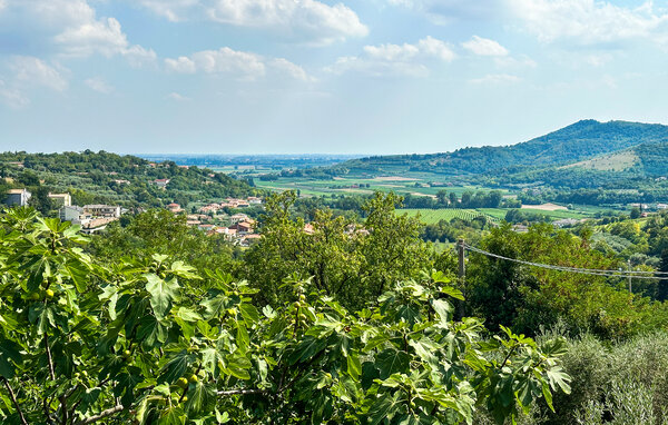 Casa vacanze - Arquà Petrarca , Italia - IVC023 2