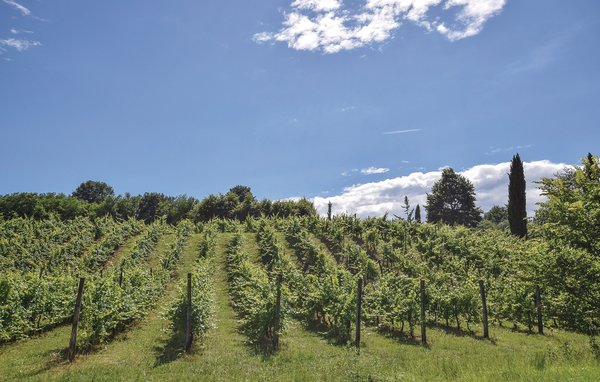 Apartamento - Vicenza , Italia - IVC265 911
