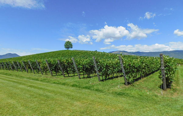 Casa de vacaciones - Valdobbiadene , Italia - IVC312 904