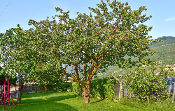Holiday home La Gallina