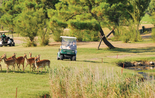 Casa di vacanze V3 valle da pesca