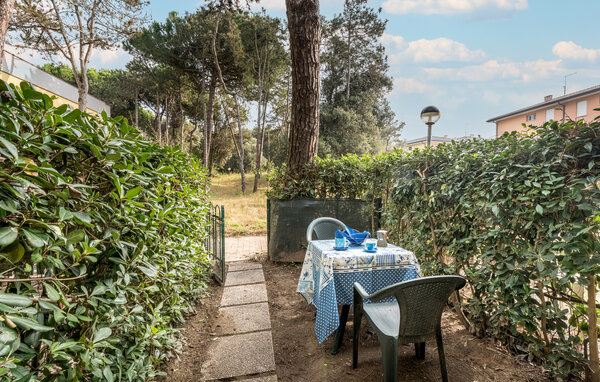 Apartment - Rosolina Mare , Italy - IVK699 101