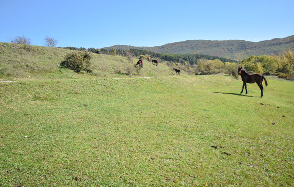 Feriehus - Montenero Val Cocchiara , Italia - IZC030 803