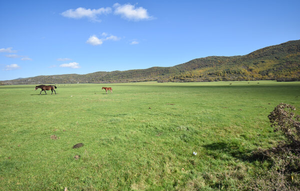 Feriehus - Montenero Val Cocchiara , Italia - IZC030 805
