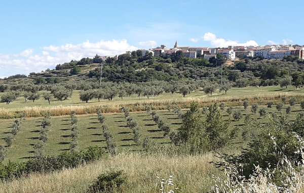 Domy wakacyjne - Colletorto , Wlochy - IZC033 7