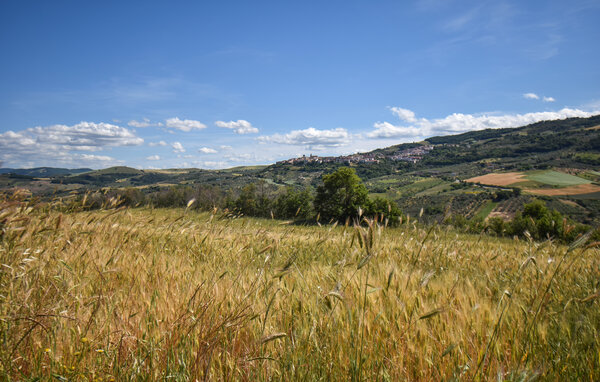 Domy wakacyjne - Colletorto , Wlochy - IZC033 901