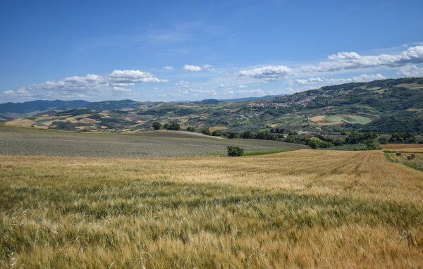 Domy wakacyjne - Colletorto , Wlochy - IZC033 902