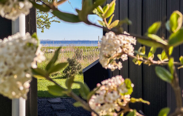 Feriehus - Askø , Danmark - K10157 201