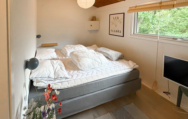 Vakantiehuis - Bredfjed , Denemarken - K10560 601