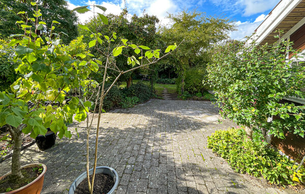 Semesterhus - Marielyst , Danmark - K11014 104