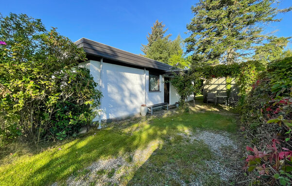 Ferienhaus - Marielyst , Dänemark - K13214 8