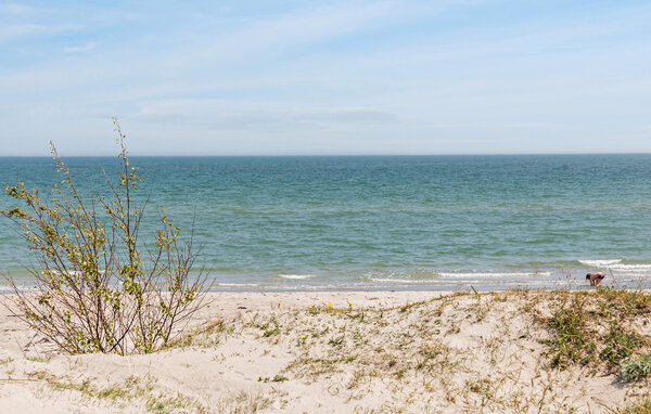 Semesterhus - Marielyst , Danmark - K16435 8