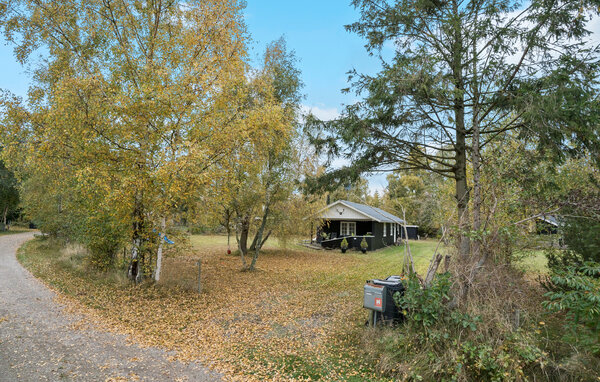 Feriehus - Marielyst , Danmark - K19016 8