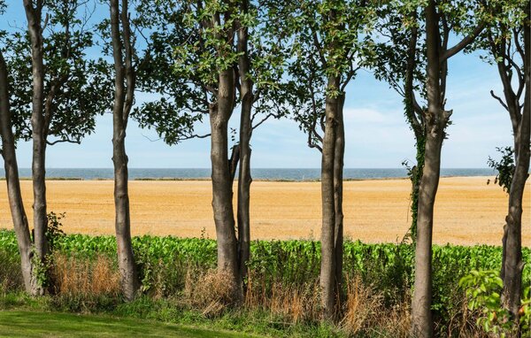 Ferienhaus - Gedser , Dänemark - K20033 2