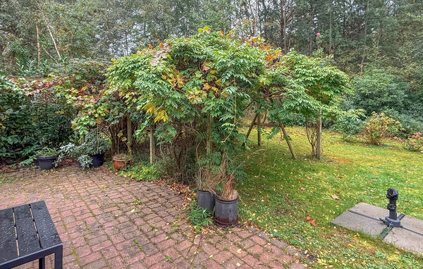 Domy wakacyjne - Ulvshale Skov , Dania - K30118 8