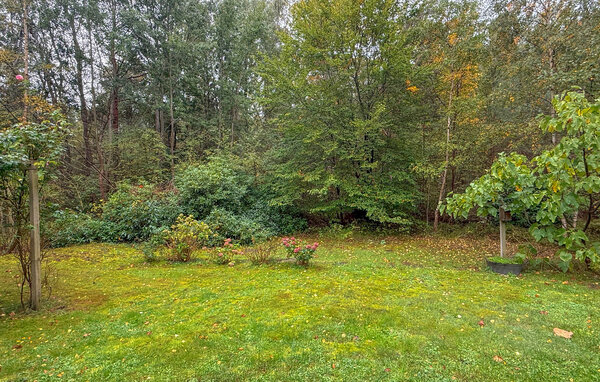 Domy wakacyjne - Ulvshale Skov , Dania - K30118 101