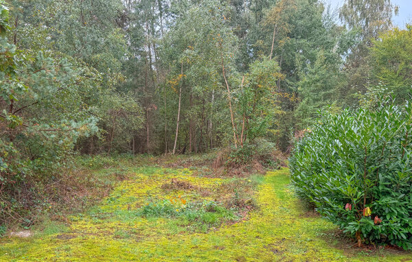 Domy wakacyjne - Ulvshale Skov , Dania - K30118 102