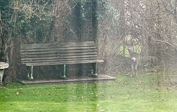 Ferienhaus - Råbylille Strand , Dänemark - K30211 101