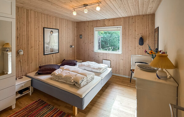 Feriehus - Ulvshale Skov , Danmark - K30987 601