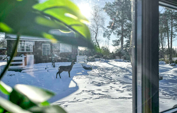 Casa de vacaciones - bakkebølle strand , Dinamarca - K51208 201