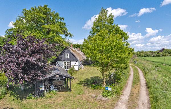 Feriehuse - Præstø Fjord , Danmark - K51213 81