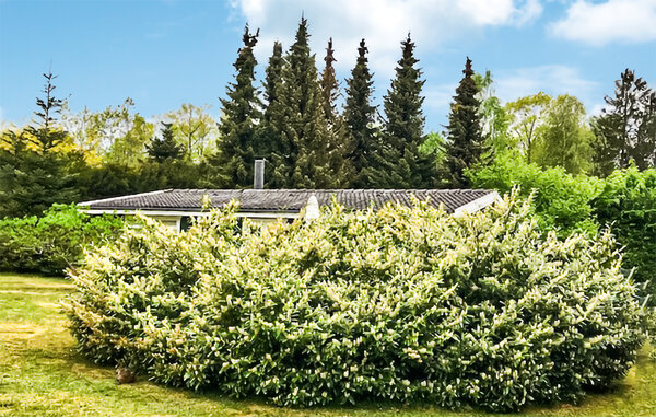 Feriehus - Bankehuse , Danmark - K51402 105