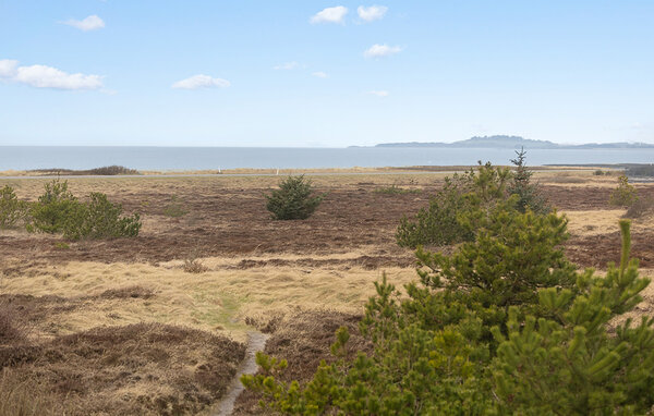 Ferienhaus - Trend / Limfjorden , Dänemark - L50104 202
