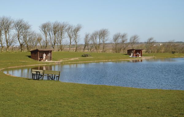 Ferienhaus - Trend , Dänemark - L50388 901